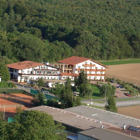 Villa Waldeck Эппинген Экстерьер фото